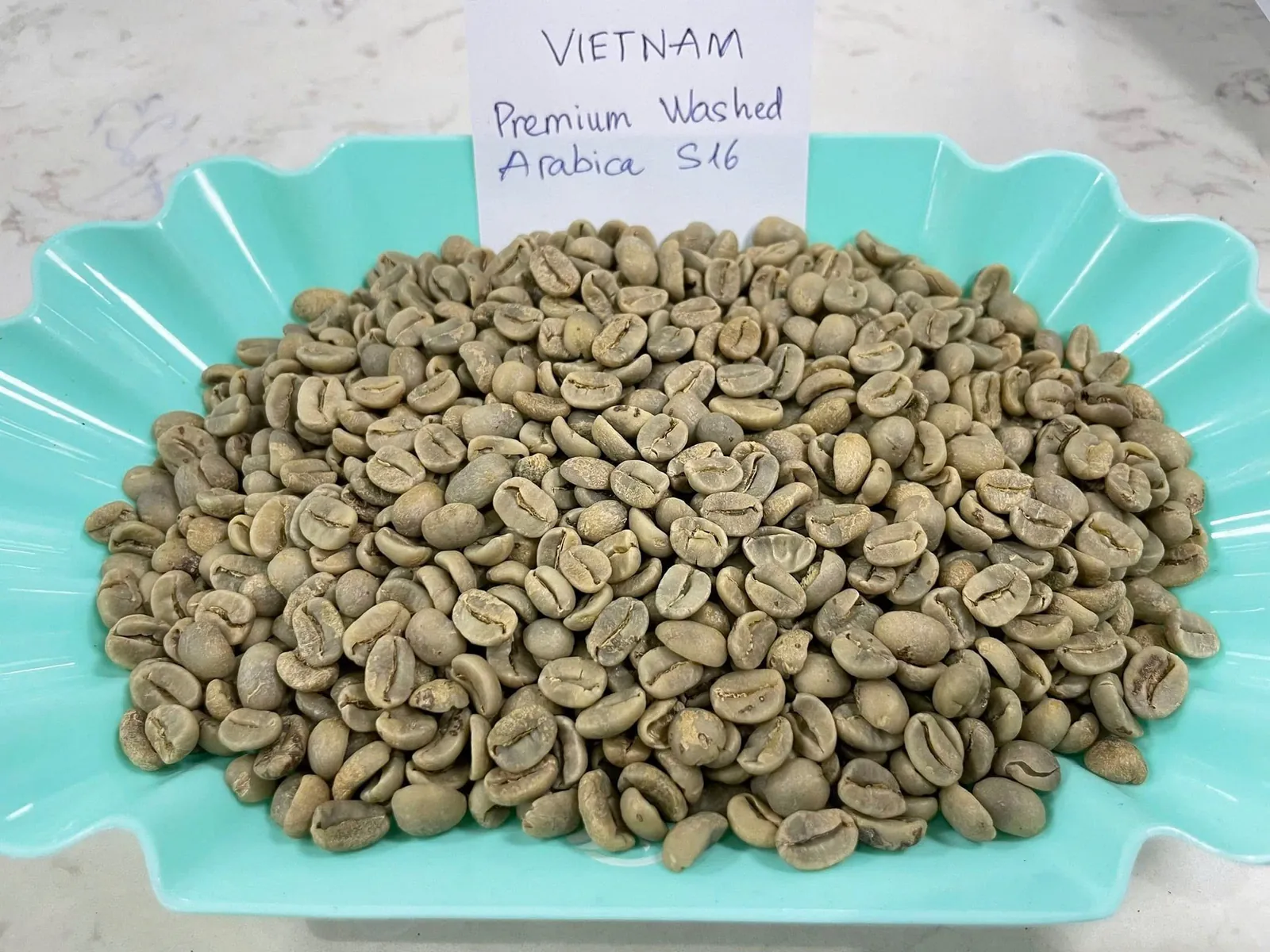 Premium washed Arabica S16 green beans