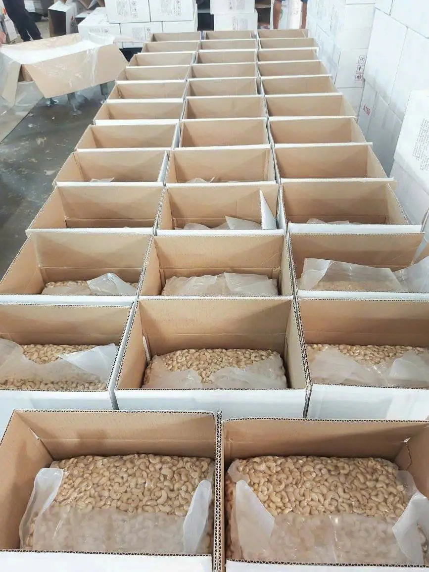 Packing vacuum bags of cashew kernels into cartons