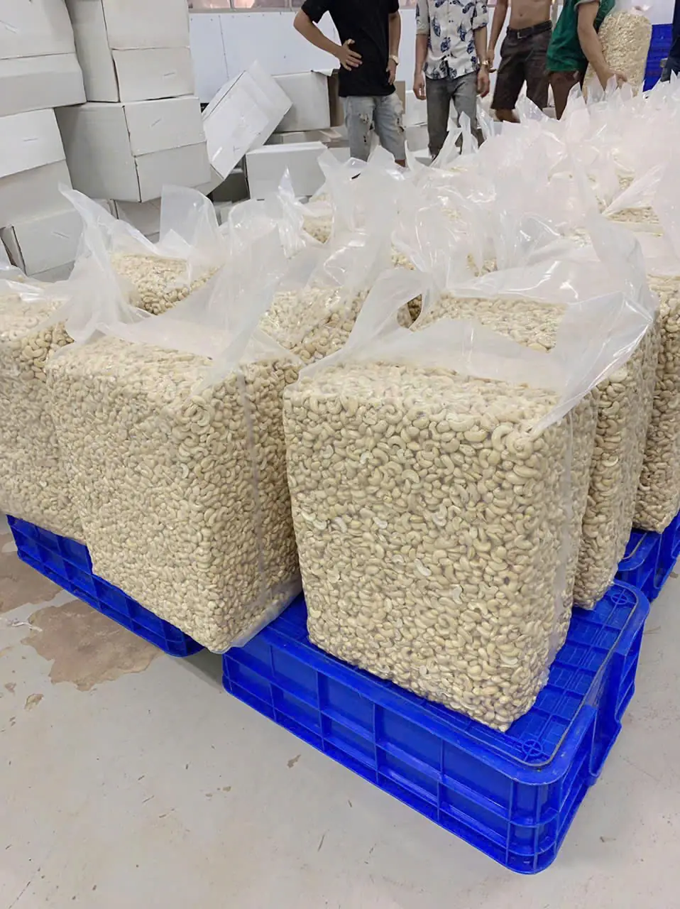 Vacuum-packed bags of cashew kernels on a pallet