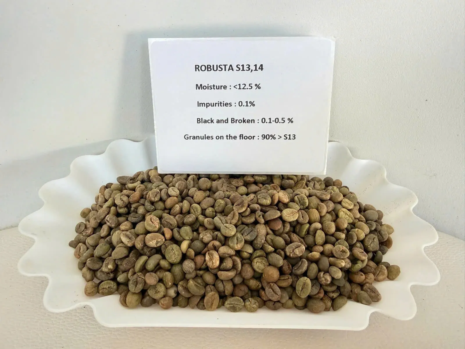 Robusta S13/S14