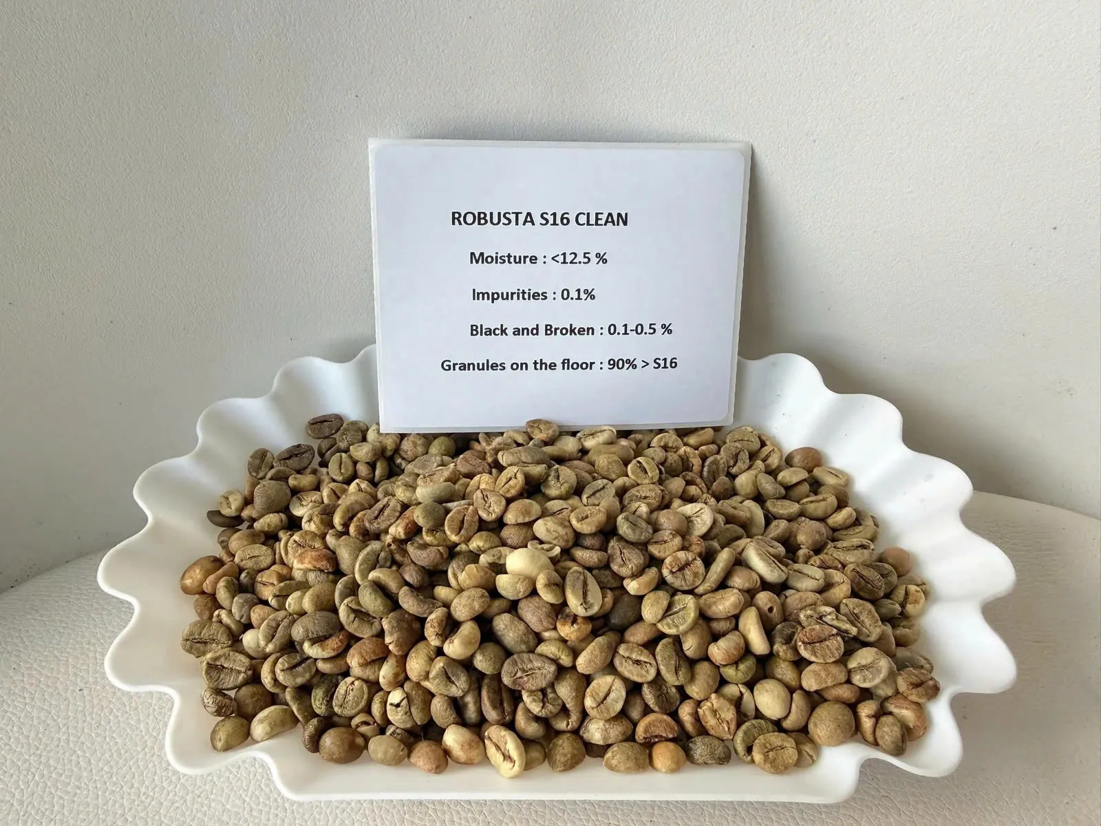 Robusta S16 Clean