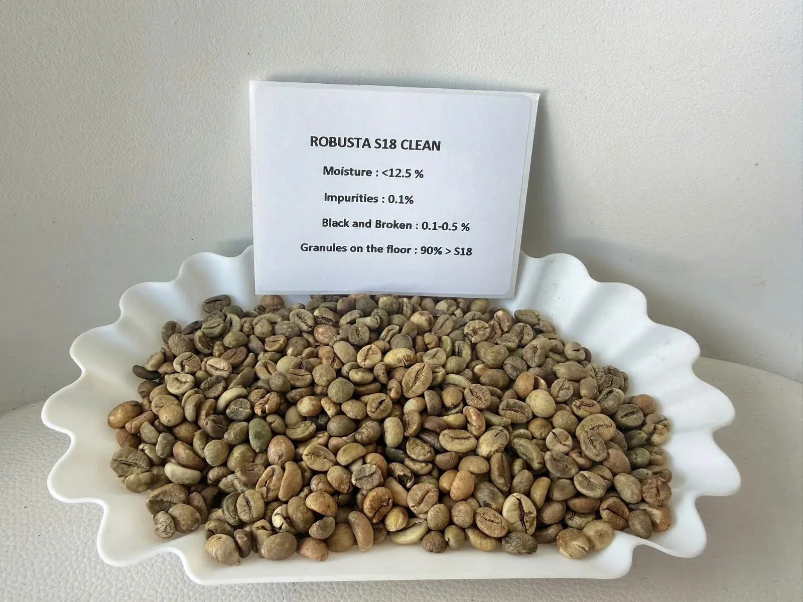 Robusta S18 Clean