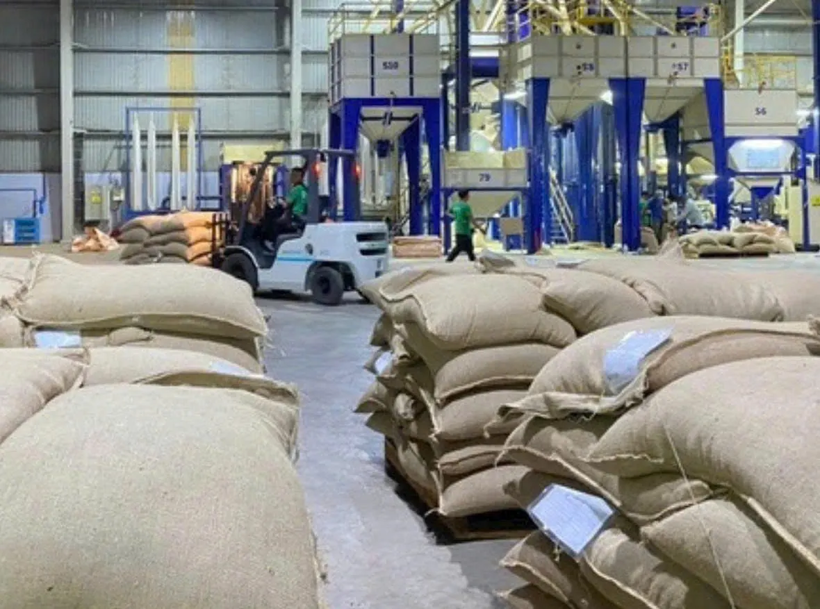 A forklift moving sacks past the grading line